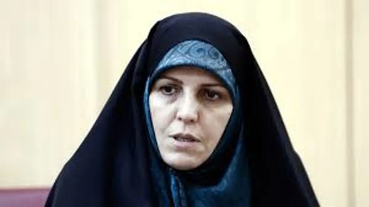 نظارت استطلاعی جای خود را به نظارت استصوابی و استسلاقی داده / عده‌ای نگران باز شدن باب همه‌پرسی هستند