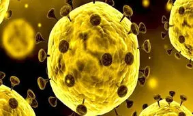 نبود علائم کرونا در ۳ تبعه چینی در نطنز