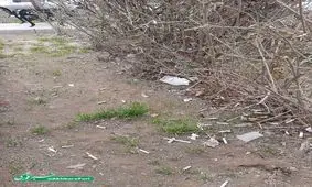 مشکلات آلودگی زیست محیطی در شهر مشهد