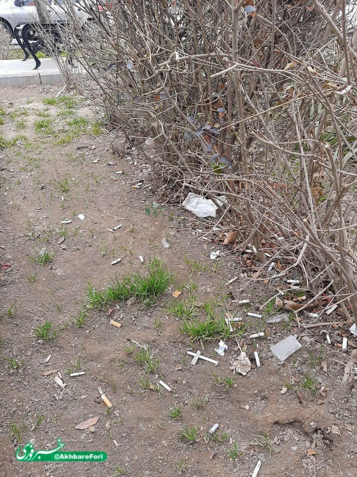 مشکلات آلودگی زیست محیطی در شهر مشهد