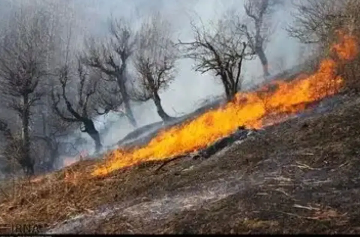 آتش‌سوزی اراضی جنگلی آستارا مهار شد