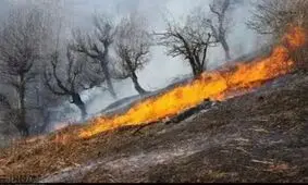 آتش‌سوزی اراضی جنگلی آستارا مهار شد