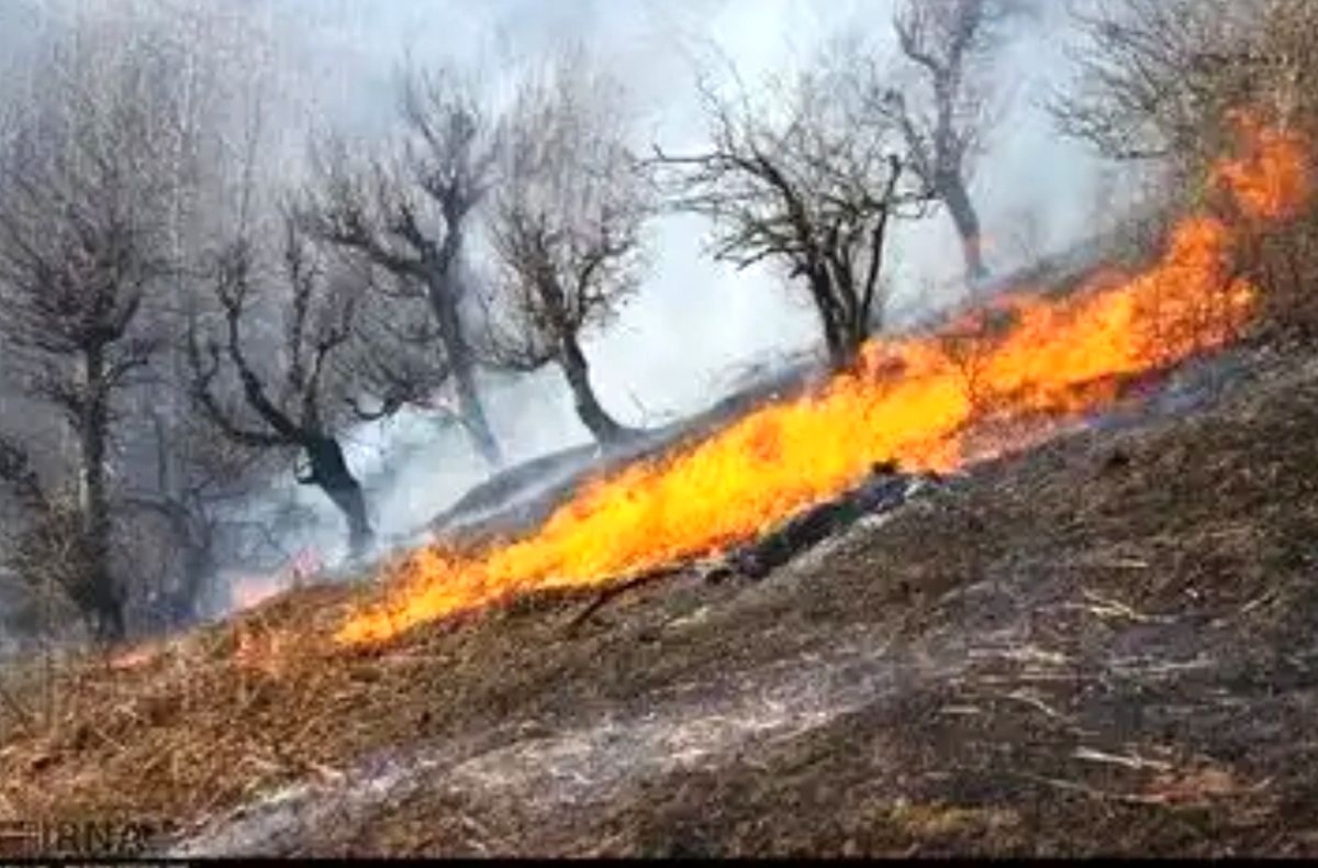 آتشسوزی اراضی جنگلی آستارا مهار شد