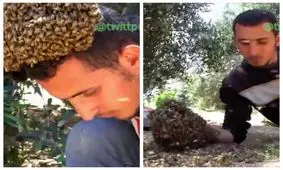 فیلم| مردی که با زنبورها رفیق شد