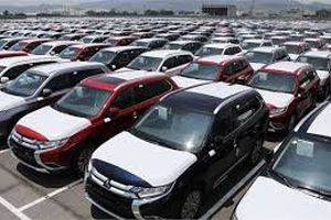 تعطیلی ۹۹ درصدی شرکتهای واردکننده خودرو
