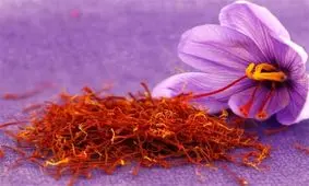 شیوع ویروس کرونا بر رکود بازار خارجی زعفران دامن زد