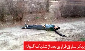 ماجرای مرگ دزد حرفه‌ای با شلیک پلیس