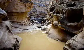 جابه‌جایی برخی اراضی پرورش میگو در صورت ورود به محدوده ژئوپارک قشم