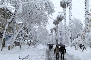 تازه‌ترین اخبار از بحران برف در استان گیلان / ادامه انسداد محورهای مواصلاتی منطقه