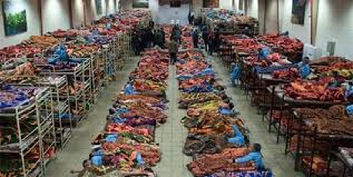 جمع آوری و اسکان بیش از ۵۰۰ کارتن‌خواب در گرمخانه‌های مشهد