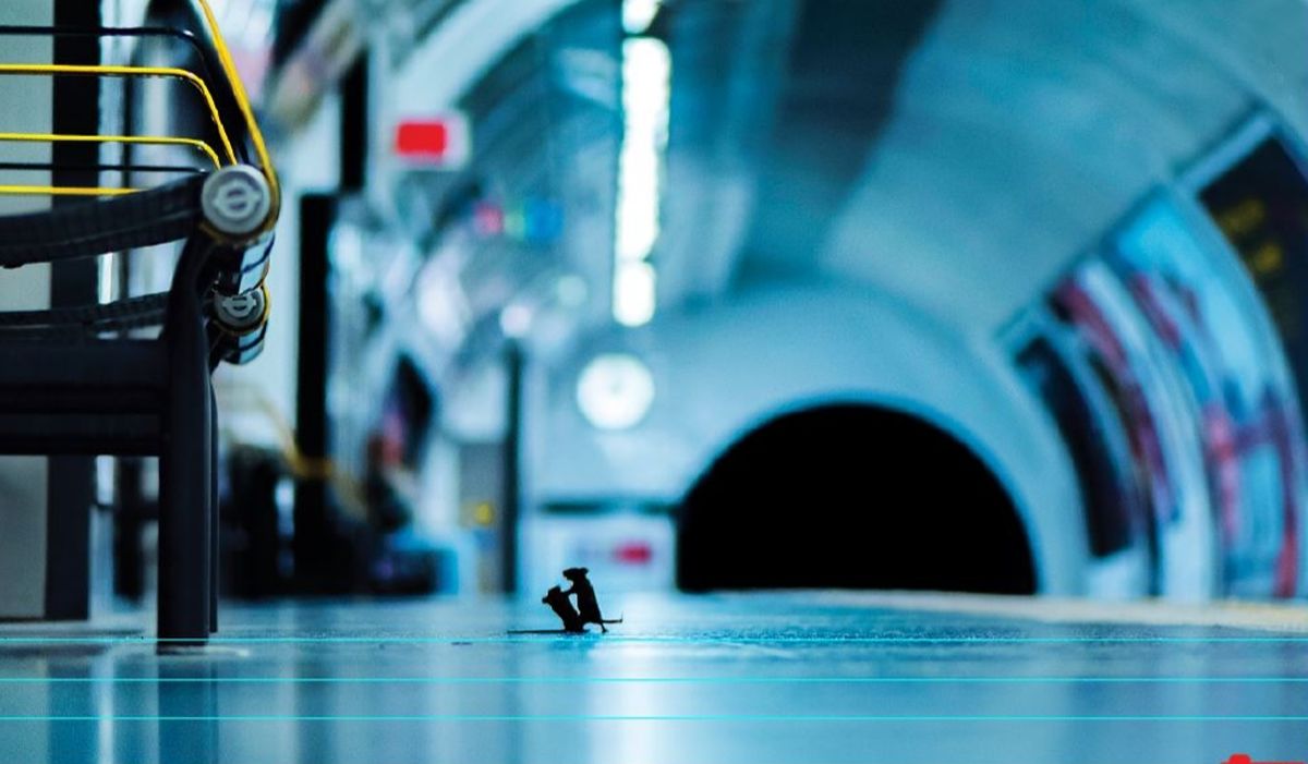 عکس سال حیات‌وحش| دست به یقه شدن دو موش در متروی لندن