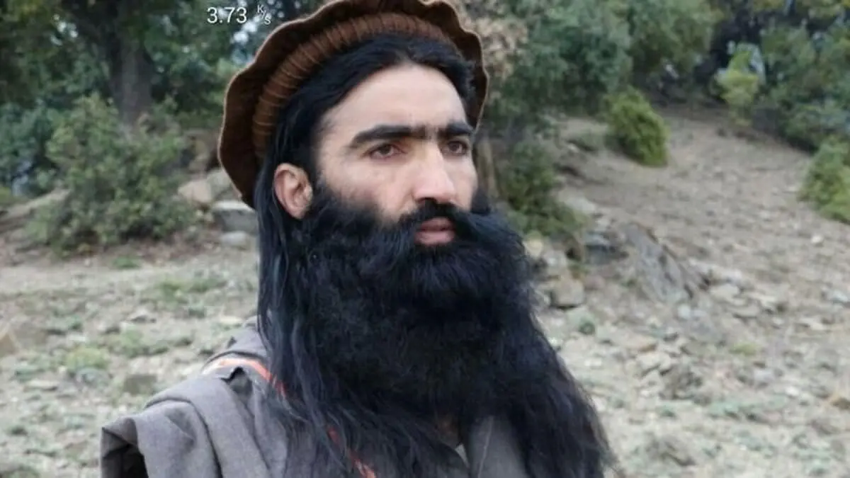 یک فرمانده ارشد طالبان کشته شد