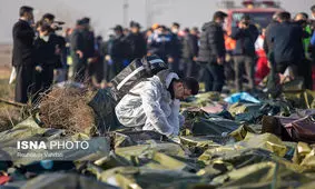 تشکیل کارگروه ویژه رسیدگی به مسائل کنسولی جانباختگان هواپیمایی اوکراینی