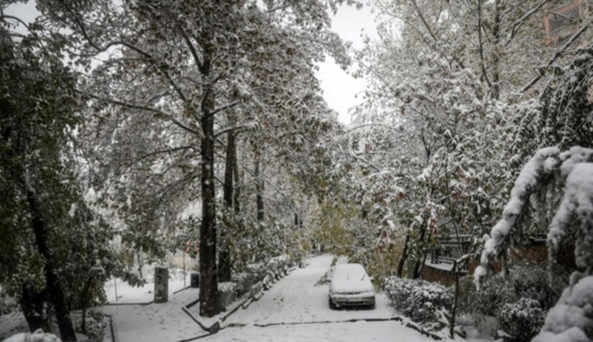 بارش اولین برف زمستان در شیراز