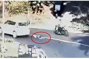 لحظه وحشتناک سقوط کودک از داخل خودرو به جاده شلوغ! +فیلم