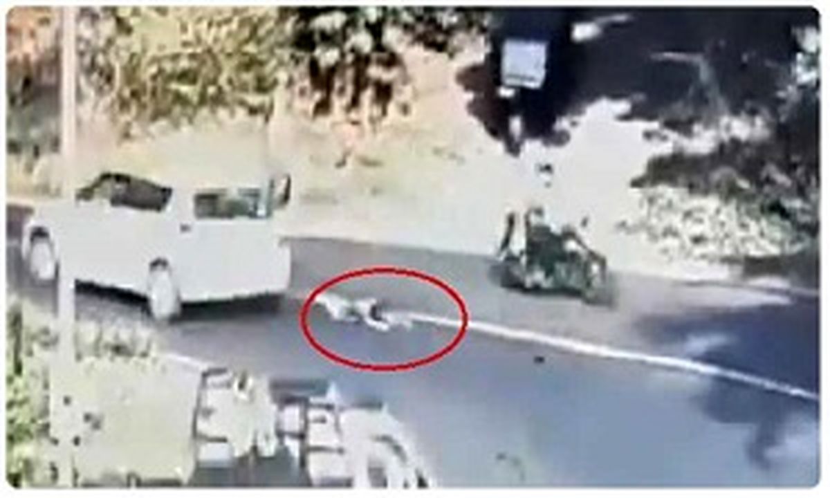 لحظه وحشتناک سقوط کودک از داخل خودرو به جاده شلوغ! +فیلم