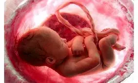 آیا نوزاد در رحم مادر مزه‌ها را تشخیص می‌دهد؟