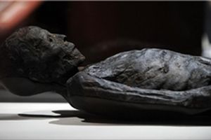 6 مومیایی 3500 ساله در مصر کشف شد + تصاویر