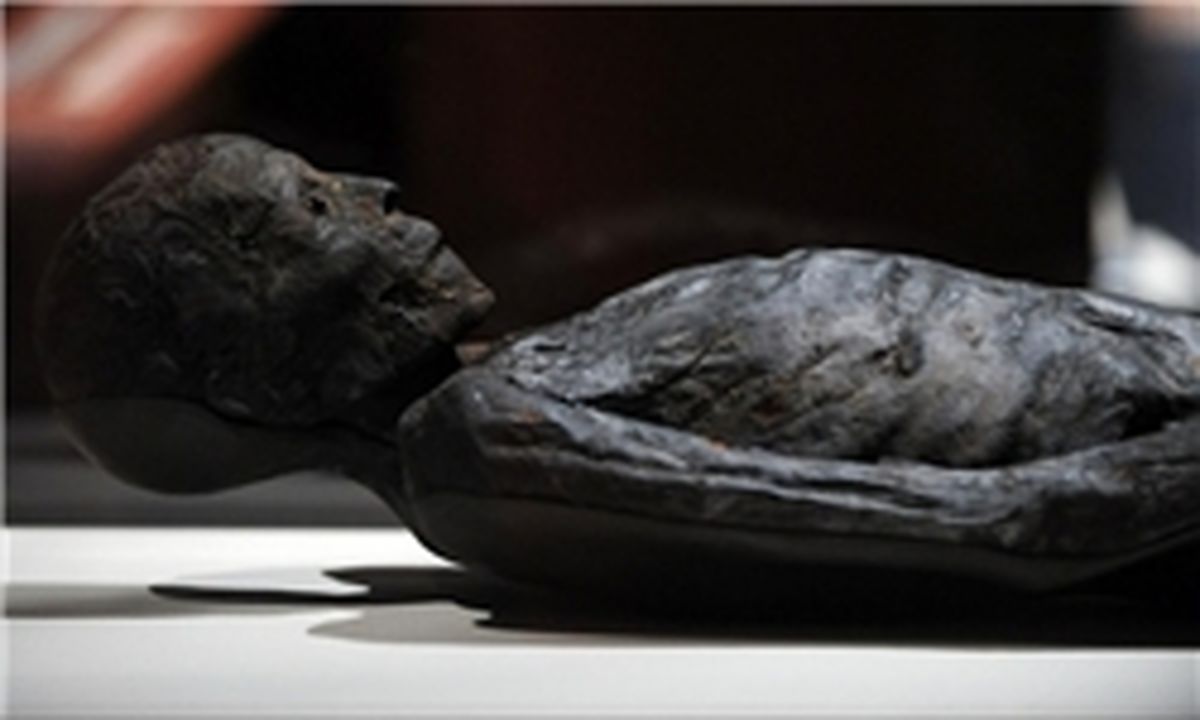6 مومیایی 3500 ساله در مصر کشف شد + تصاویر