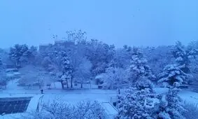 برف دیشب در فریمان‌