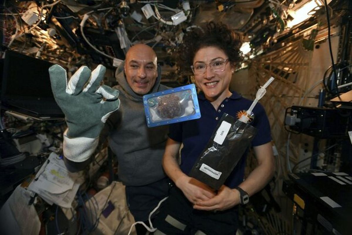 فضانوردان در ایستگاه فضایی کلوچه پختند و به زمین فرستادند