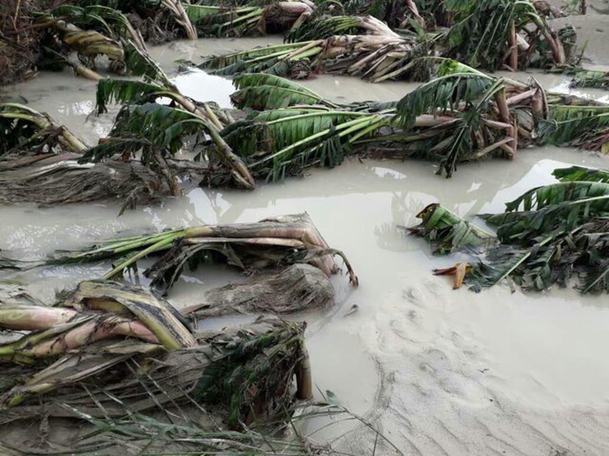 سیلاب، ۶ هزار میلیارد ریال به کشاورزی سیستان و بلوچستان خسارت وارد کرد