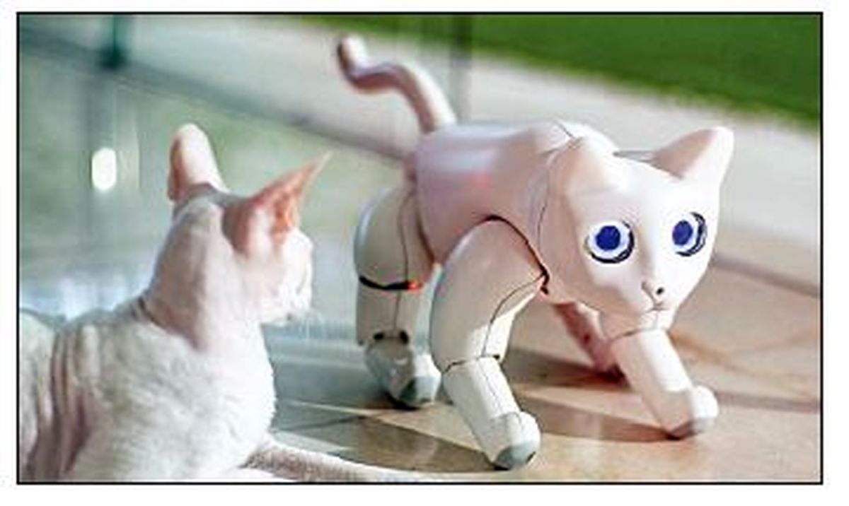 گربه‌ روباتیکی که یاد می‌گیرد