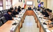 نظارت بر اقدامات سودجویانه برای واردات دام زنده به خراسان جنوبی تشدید شود