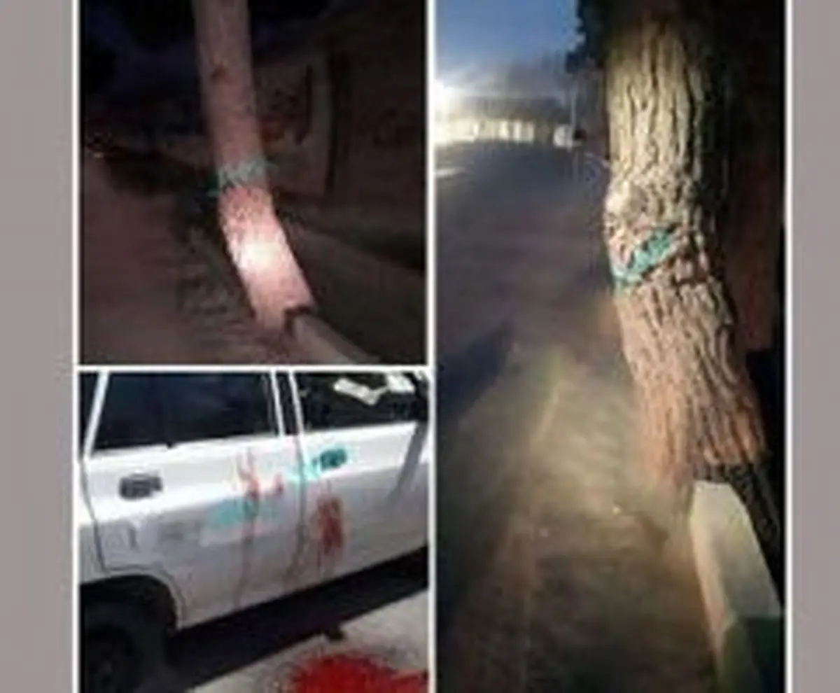 حادثه وحشتناک برای مهمان عروسی