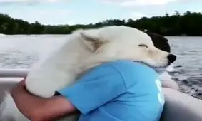 زیباترین ویدئویی که از عشق انسان و حیوان دیده‌اید