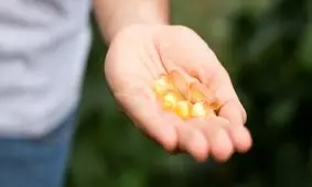 کشفیات تازه در مورد تأثیر مثبت روغن ماهی بر توان باروری مردان