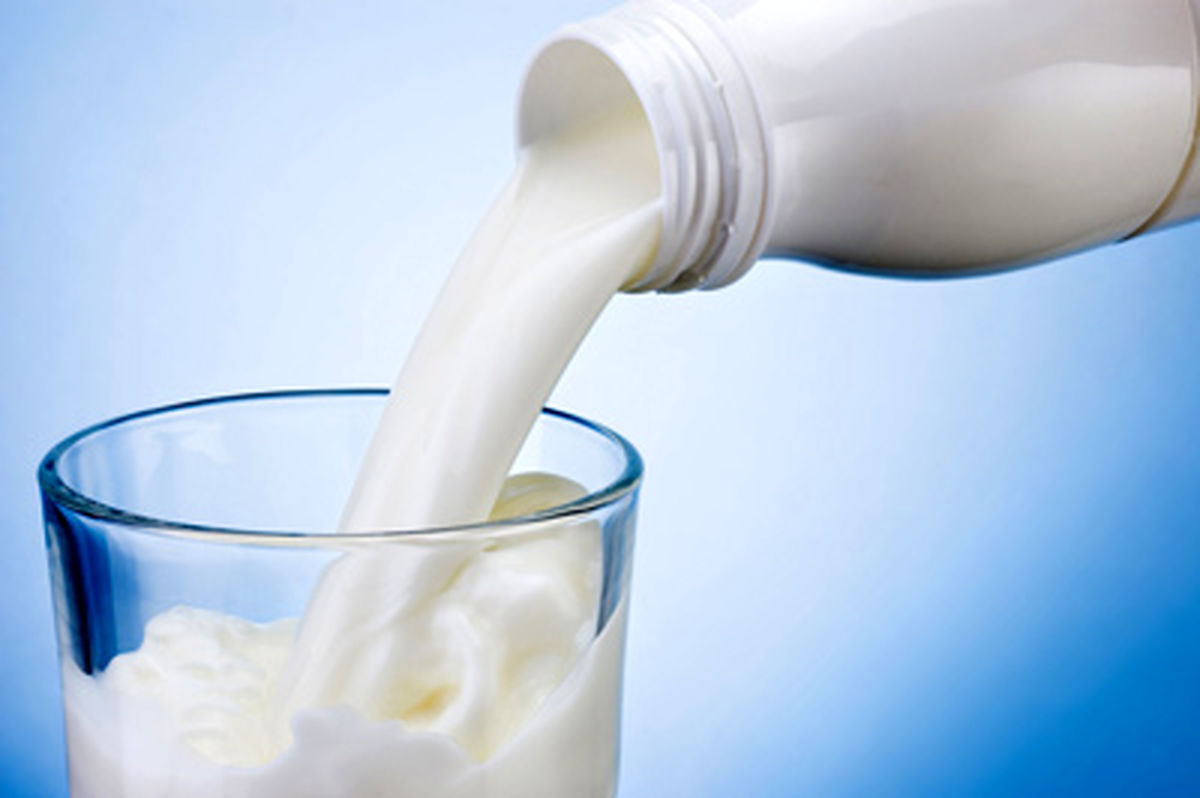 آمار نگران‌کننده مصرف شیر در کشور / آفلاتوکسین؛ ادعایی بی‌اساس