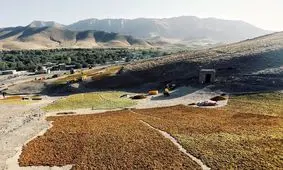 ۲۶۰۰ تن محصولات گیاهی از استان قزوین صادر شد