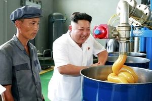 روش عجیب تولید کود در کره شمالی / هر فرد باید روزانه صد کیلوگرم مدفوع تولید و تحویل دهد