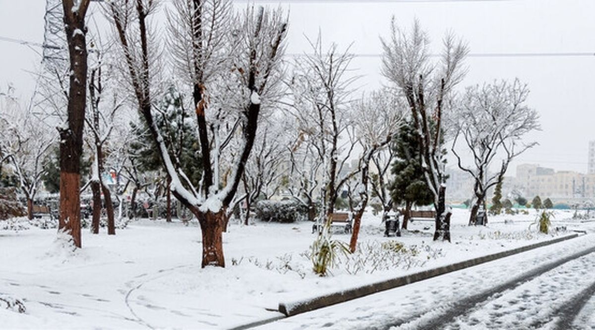 تداوم بارش برف در کردستان