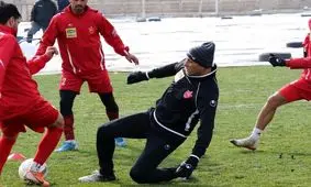 گل‌محمدی: در تیم ما دل به دل راه دارد!