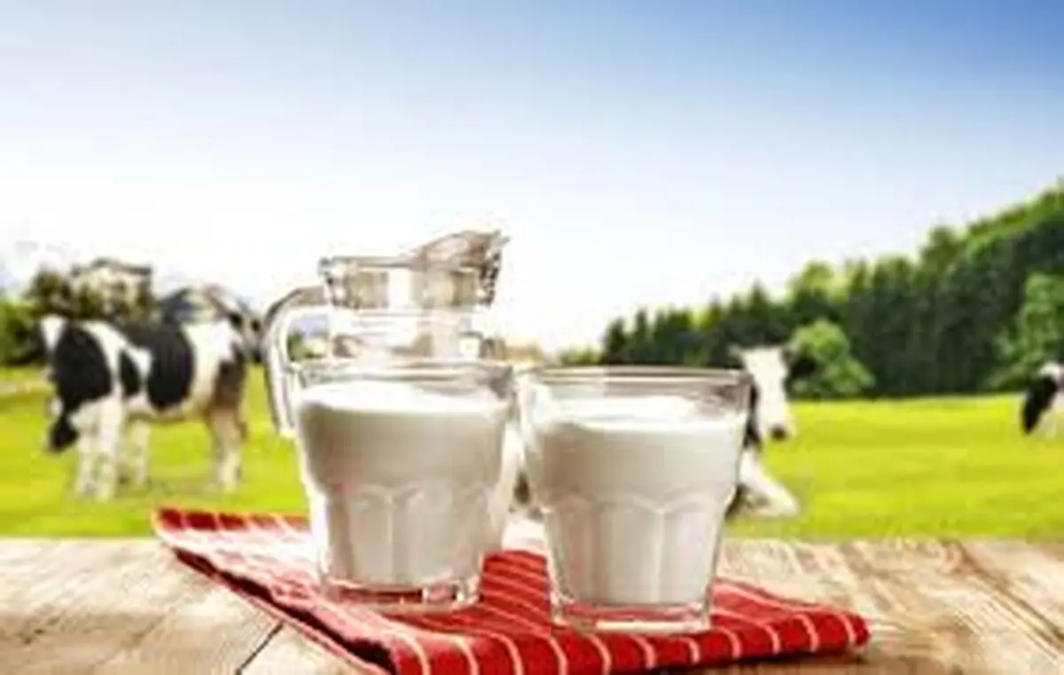 شیر بخورید و نگران سلامت آن نباشید