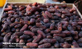 نامه اعتراض آمیز به وزارت صنعت برای وضع عوارض صادراتی خرما