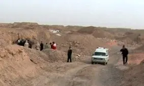 مرگ کودک ۸ ساله در حمله سگ‌های ولگرد