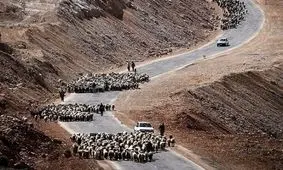 کوچ بهاره عشایر استان تهران آغاز شد