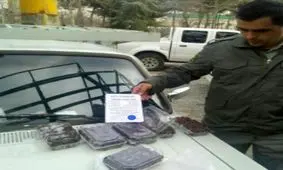 فروش گوشت گنجشک در بسته‌های ۵۰ عددی!