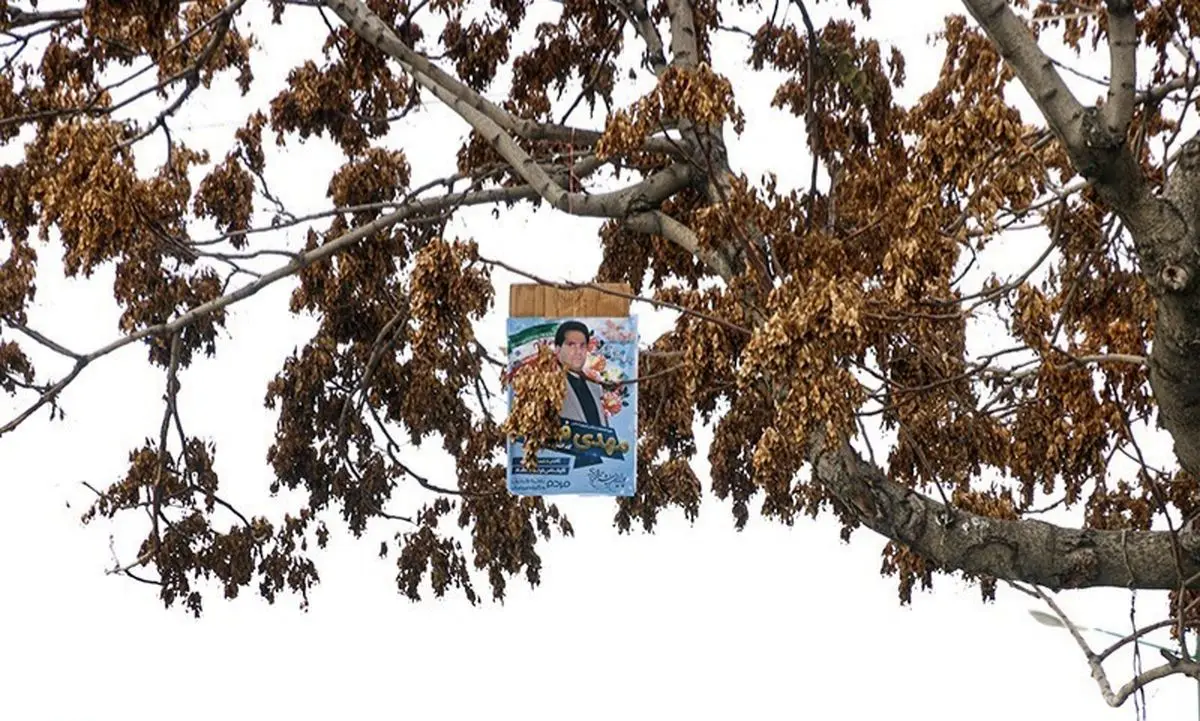 حال و هوای انتخابات در اصفهان؛ تبلیغاتی که بار درختان را سنگین‌تر کرد!