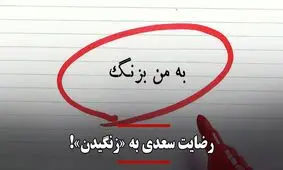 درباره نادیده گرفته شدن یکی از امکانات بالقوه زبان فارسی/ رضایت سعدی به «زنگیدن»!
