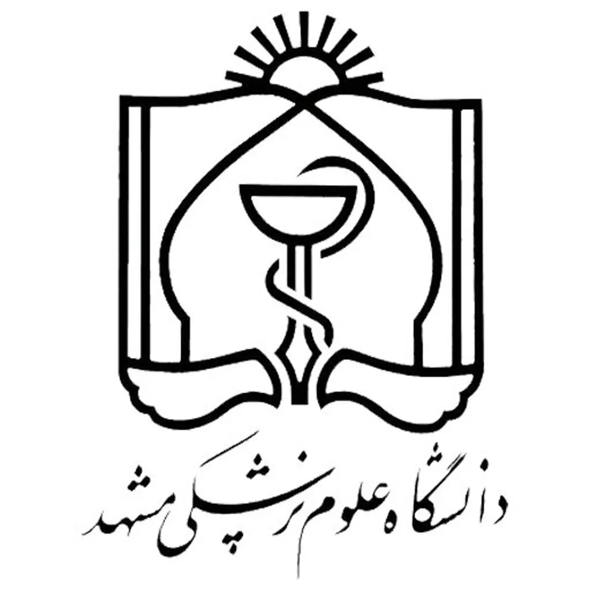 آغاز اجرای طرح پیمایش ملی عوامل خطر بیماری‌های غیرواگیر