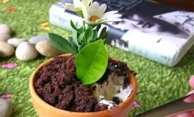 طرز تهیه دسر گلدانی،دسری زیبا برای میز شام تان