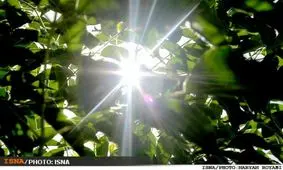 افزایش دمای اردیبهشت اهواز تا 40 درجه