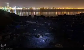 خبری تصویری به مناسبت روز زمین پاک