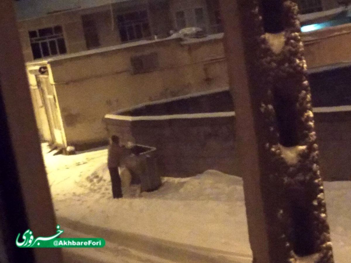 زباله گردی در ساعت یک و نیم بامداد در آذربایجان شرقی