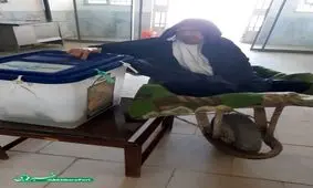 حضور متفاوت خانم مسن میبدی در محل اخذ رای