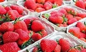 با توت فرنگی به جنگ سرطان سینه بروید